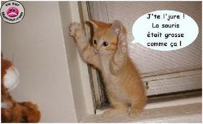 promis